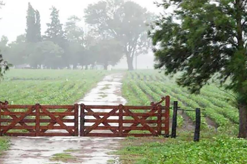 Las �ltimas lluvias reconfiguran los drivers de decisión en todos los eslabones de la cadena agro-productiva