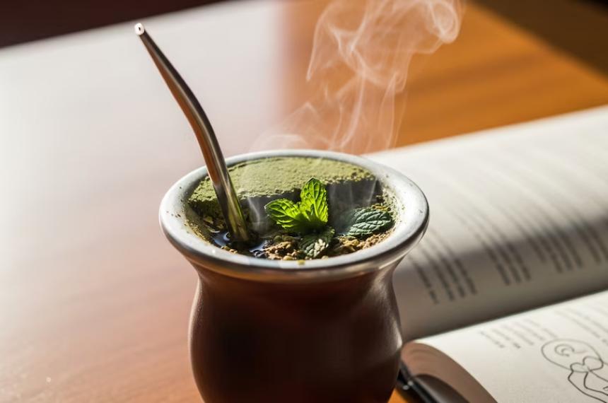 La evidencia sobre la yerba mate analiza su relación con el rendimiento el colesterol la glucosa y otros marcadores metabólicos
