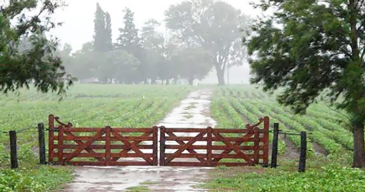 Las �ltimas lluvias reconfiguran los drivers de decisión en todos los eslabones de la cadena agro-productiva