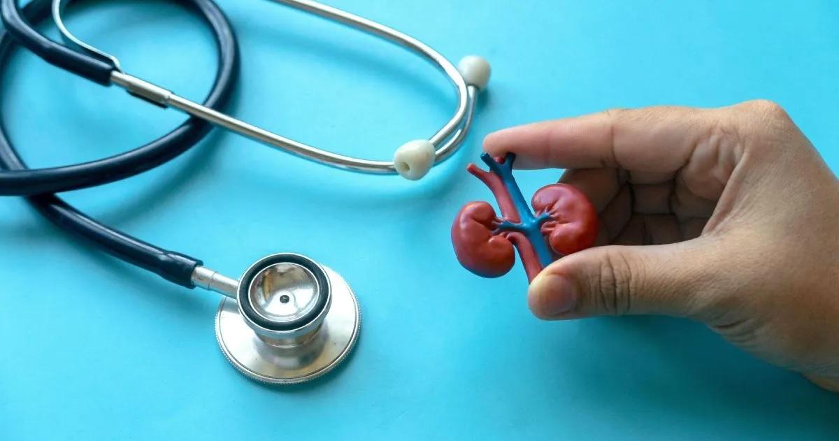 El objetivo no es esperar a que aparezca la enfermedad avanzada sino adelantarnos a ella con información prevención y seguimiento precoz