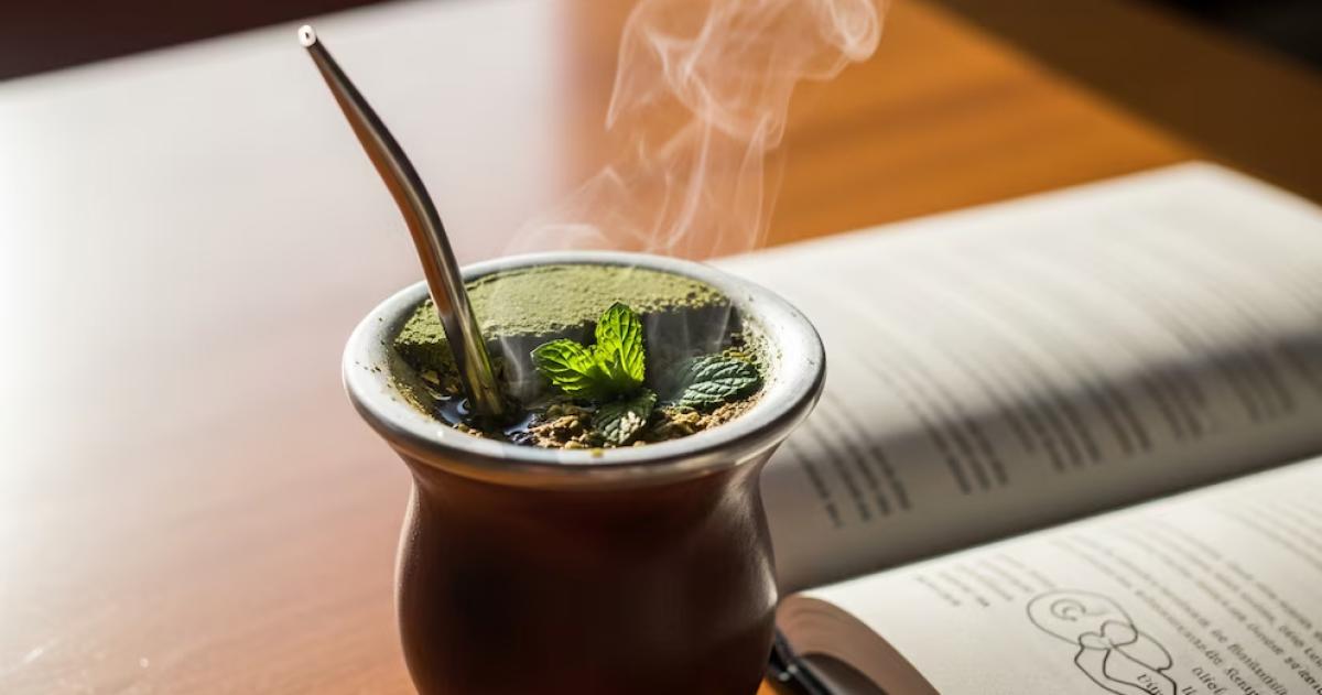 La evidencia sobre la yerba mate analiza su relación con el rendimiento el colesterol la glucosa y otros marcadores metabólicos