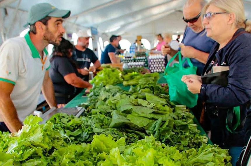 Las compras podr�n realizarse con todos los medios de pago incluida la Tarjeta Alimentar