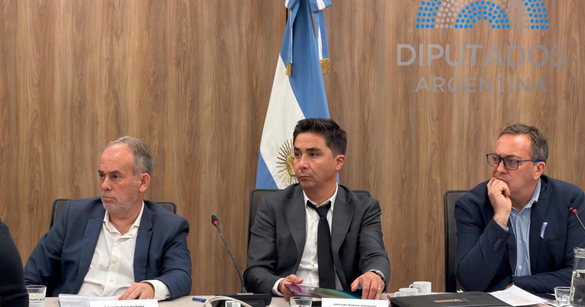 El ministro Alfredo Intronati durante su exposición en el Congreso