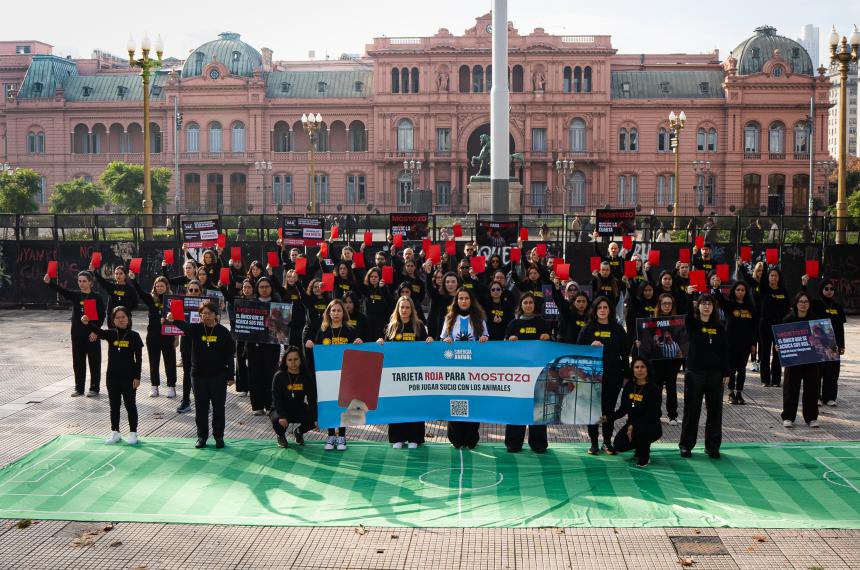 Activistas de siete países realizaron una intervención con estética futbolera en Plaza de Mayo para exigir que Mostaza adopte una política de abastecimiento de huevos provenientes de gallinas libres de jaulas