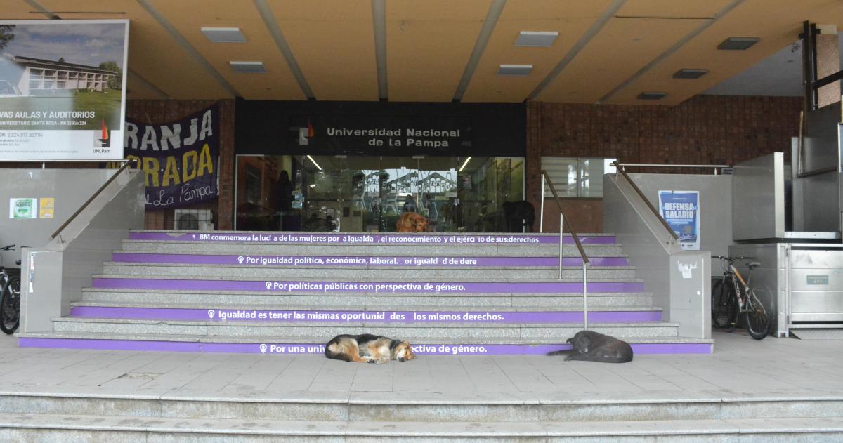 La Conadu Histórica ratificó la medida de fuerza que paralizar� las facultades
