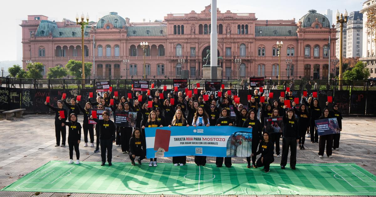 Activistas de siete países realizaron una intervención con estética futbolera en Plaza de Mayo para exigir que Mostaza adopte una política de abastecimiento de huevos provenientes de gallinas libres de jaulas