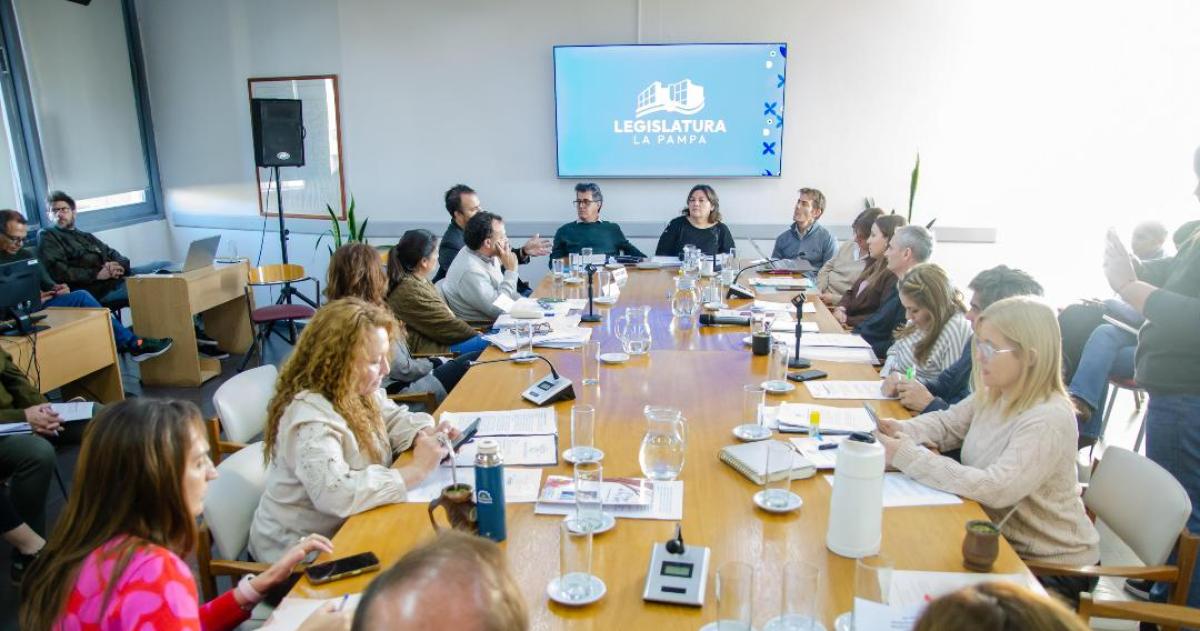 La comisión de Legislación General analizó cambios a la ley que regula las residencias parea mayores