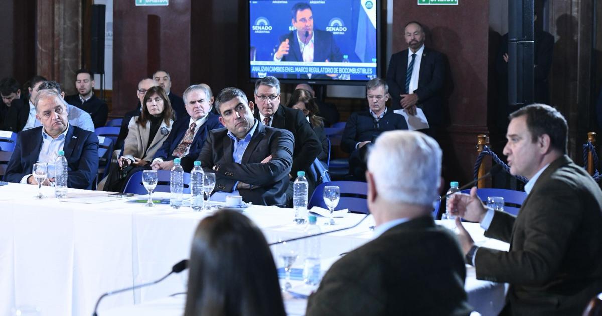 Seg�n el legislador la iniciativa amenaza a 25 PyMEs a nivel nacional
