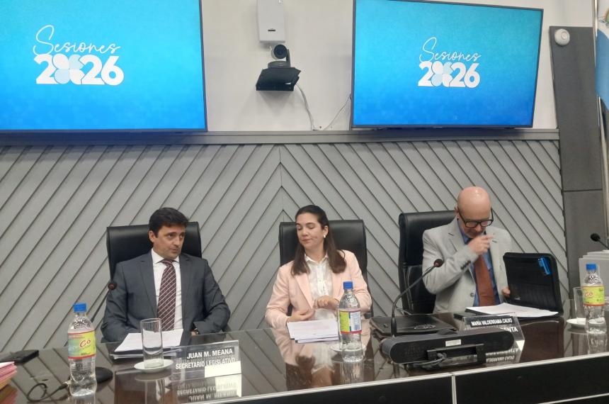 Por la ausencia de la vice Alicia Mayoral y el boicot de los diputados vernistas la presidencia de la C�mara quedó en manos de la radical Andrea Valderrama