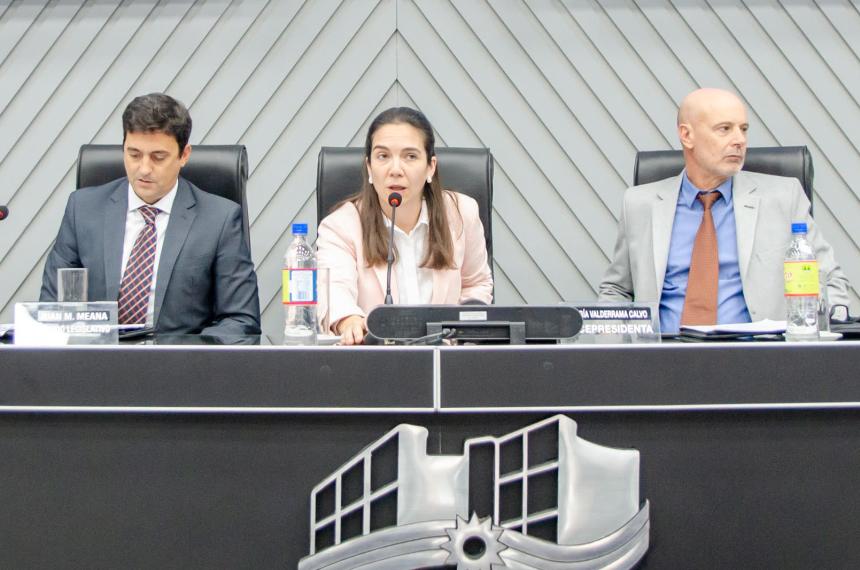 La radical Andrea Valderrama presidió la sesión de este jueves