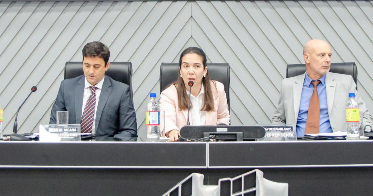 La radical Andrea Valderrama presidió la sesión de este jueves