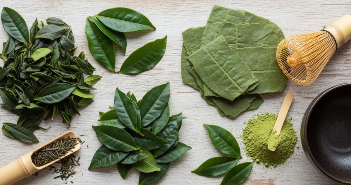 El matcha un té verde japonés rico en antioxidantes y catequinas gana popularidad mundial por sus potenciales beneficios para la salud cardiovascular el metabolismo y la concentración