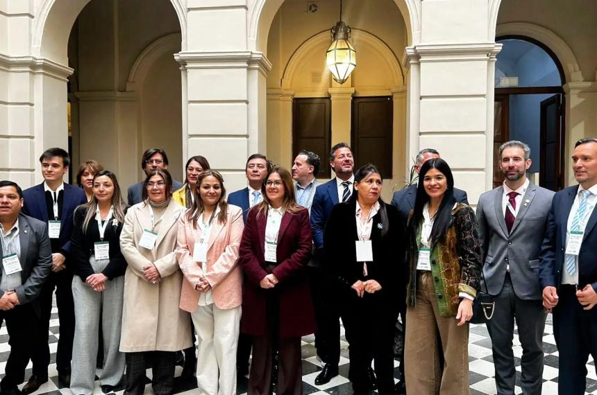 La diputada provincial Gisela Cuadrado (UCR) participó este jueves de la cuarta sesión del Parlamento Federal del Clima