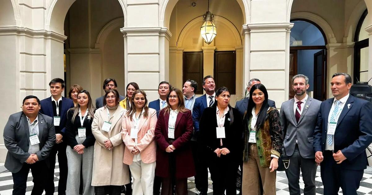La diputada provincial Gisela Cuadrado (UCR) participó este jueves de la cuarta sesión del Parlamento Federal del Clima