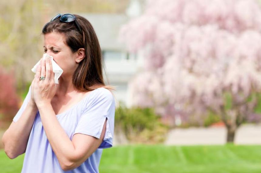 La picazón en ojos nariz y garganta junto con la ausencia de fiebre son algunas de las señales que ayudan a diferenciar una alergia de un resfrío com�n