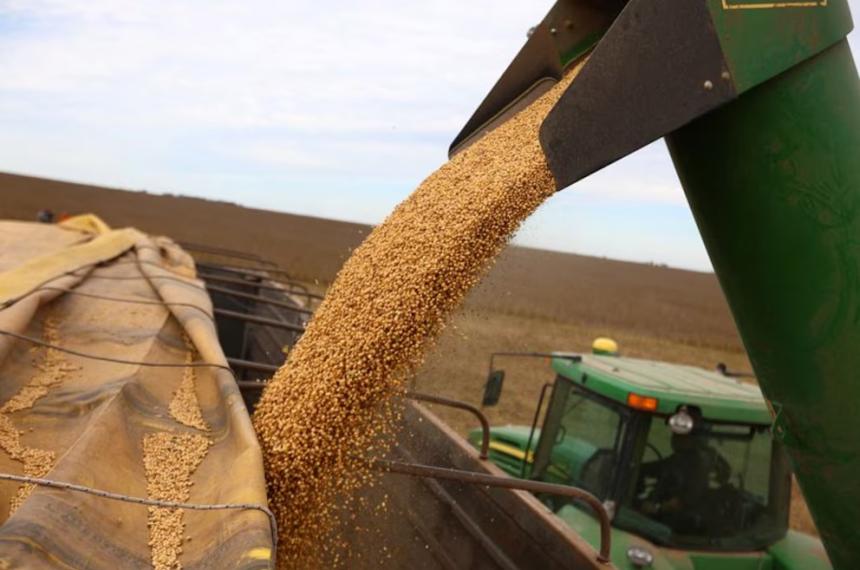 El agro fue uno de los impulsores del crecimiento económico en el primer trimestre del año