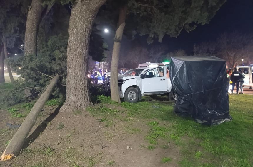 La Chevrolet S-10 sufrió un fuerte impacto contra una planta