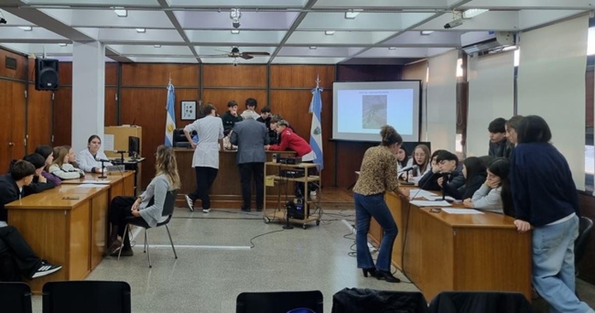 En el colegio de Pico se realizó un simulacro de audiencia
