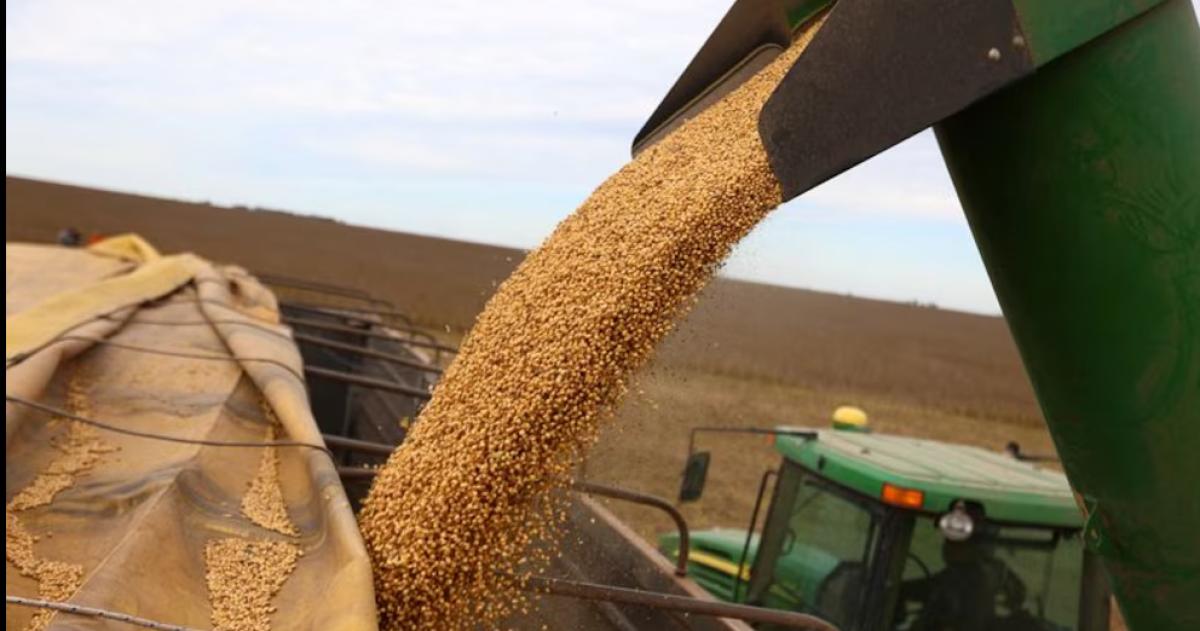 El agro fue uno de los impulsores del crecimiento económico en el primer trimestre del año