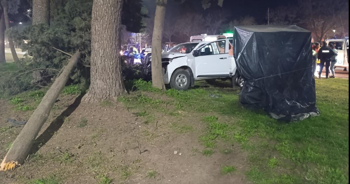 La Chevrolet S-10 sufrió un fuerte impacto contra una planta