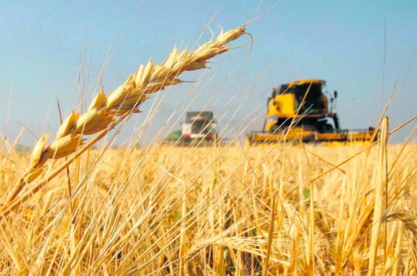 La intención de siembra de trigo en La Pampa registra para la presente campaña un incremento cercano al 15-en-porciento-