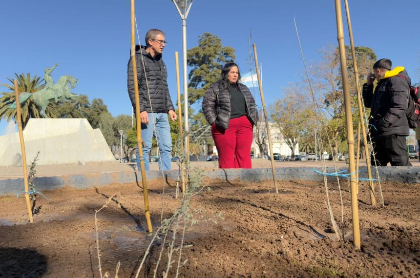 Los trabajos forman parte del Plan de Gestión Integral del Arbolado Urbano 2026