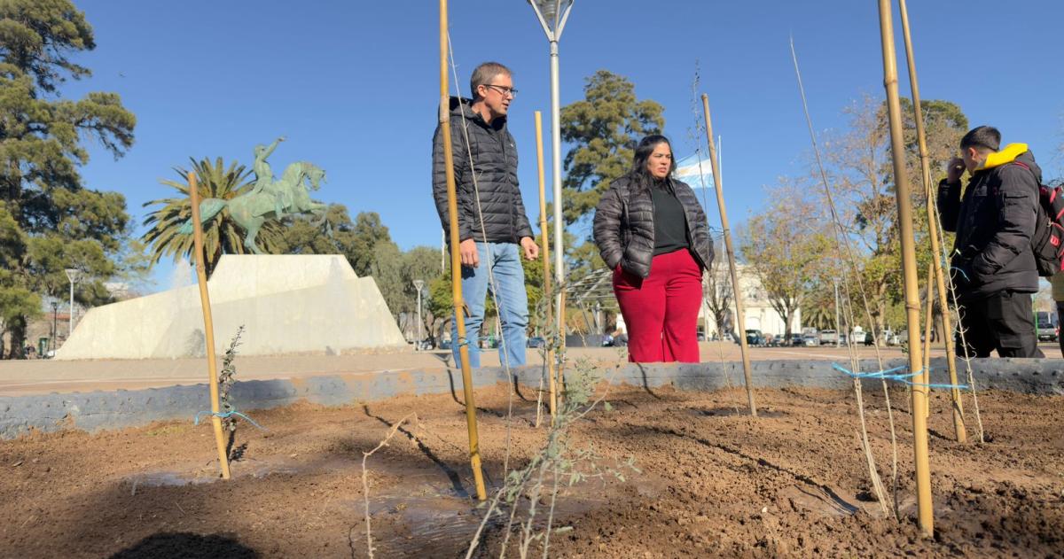 Los trabajos forman parte del Plan de Gestión Integral del Arbolado Urbano 2026