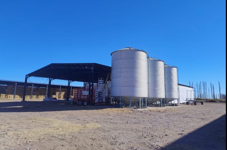 El agro sostiene la actividad económica