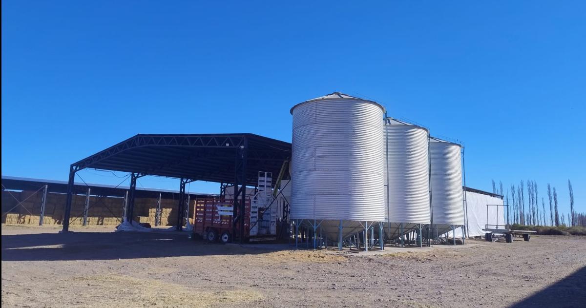 El agro sostiene la actividad económica