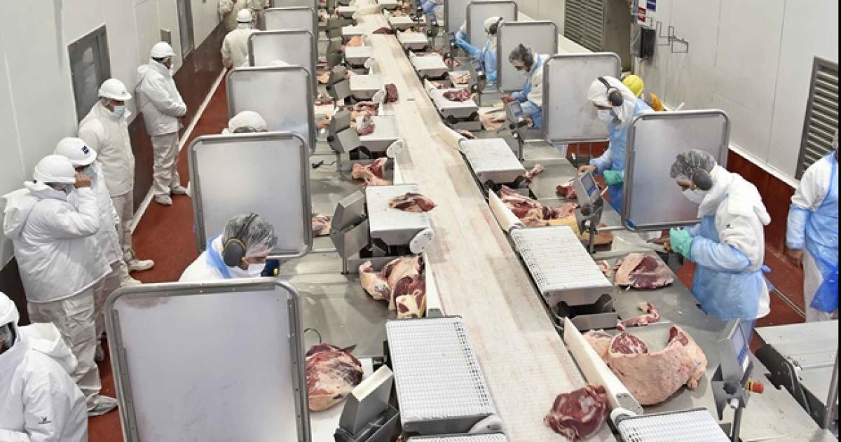 La reapertura permitió el regreso a sus puestos de m�s de 400 operarios suspendidos a fines de 2025
