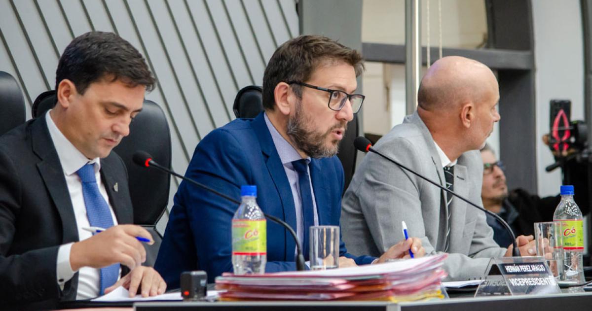 Hern�n Pérez Araujo presidió la sesión en la Legislatura