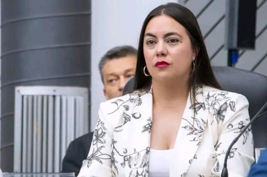 La iniciativa es impulsada por la diputada del Frejupa Noelia Sosa