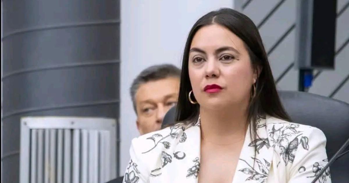 La iniciativa es impulsada por la diputada del Frejupa Noelia Sosa