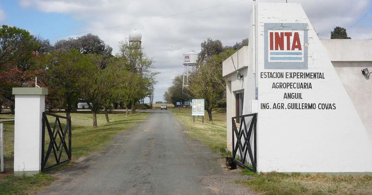 Desde el gremio señalaron que la pérdida de trabajadores implica un deterioro en la tarea que desarrolla el INTA