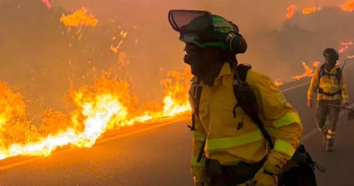 El fuego se desató en Almería por la caída de un cable de luz y avanzó con rapidez impulsado por el viento