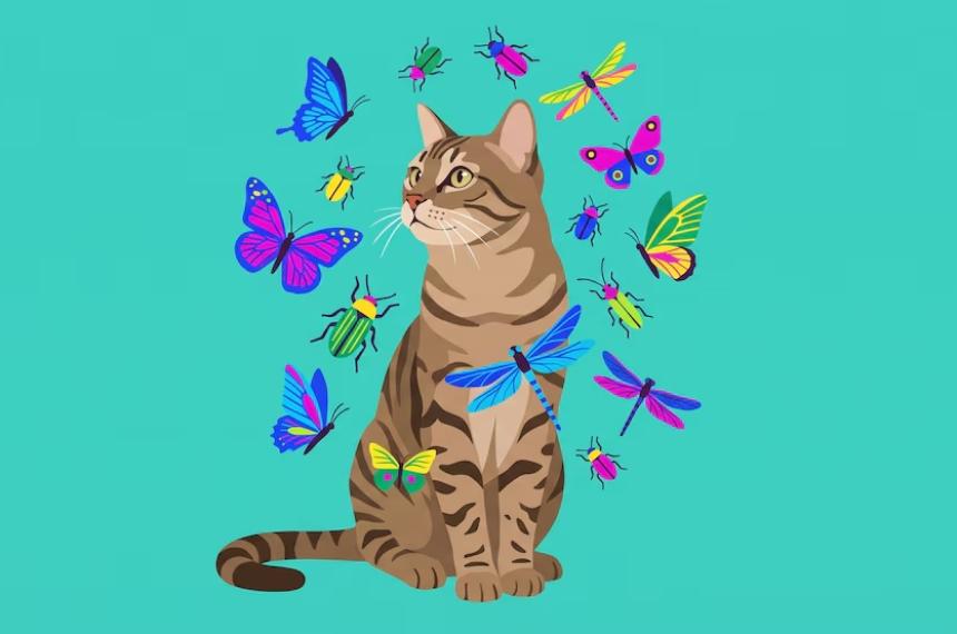 Un estudio global indicó que los gatos en libertad se encuentran entre los mamíferos que m�s insectos consumen