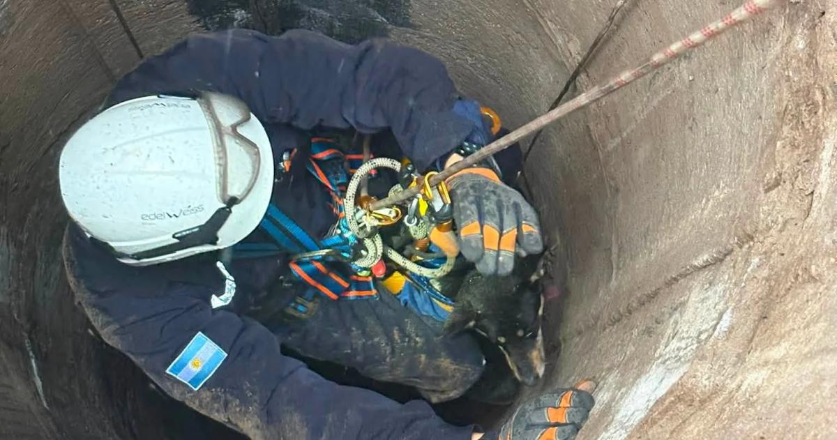 Bajó el mismo bombero que rescató a un joven días atr�s