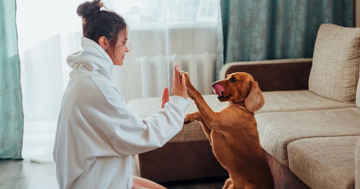 Los perros responden de manera diferente seg�n el tono de voz que se utilice de una manera similar a cuando se habla a un bebé