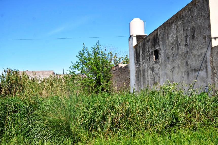 El caso se originó por la denuncia de un terreno baldío en estado de abandono