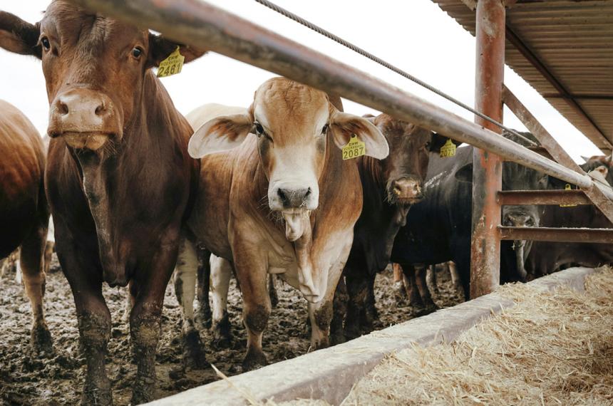 Los créditos est�n en vigencia anunció el Ministerio de la Producción