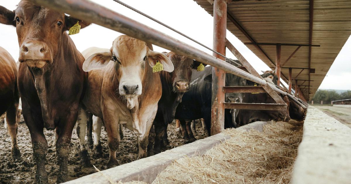 Los créditos est�n en vigencia anunció el Ministerio de la Producción