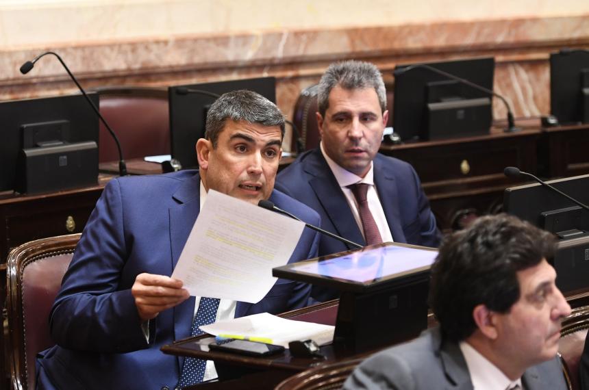 Bensus�n celebró que este jueves el Senado no tratara el proyecto que modificaba la Ley de Tierras