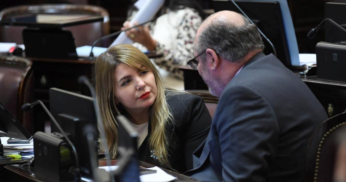 Ley de tierras- Bensus�n ya anticipó su rechazo y Huala y Kroneberger est�n en duda