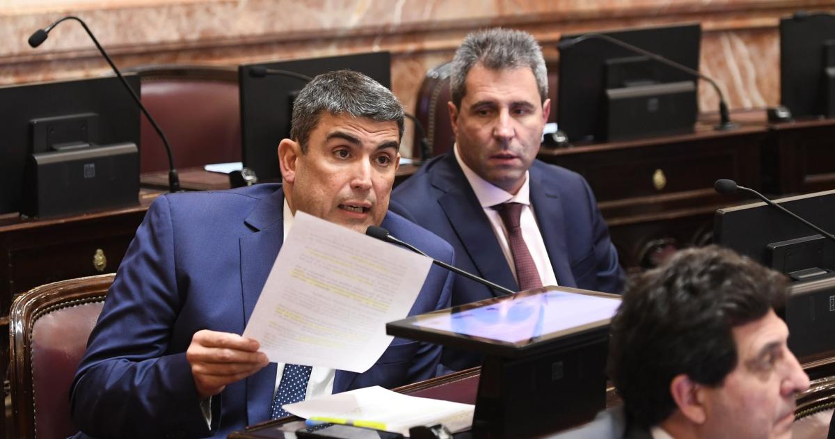 Bensus�n celebró que este jueves el Senado no tratara el proyecto que modificaba la Ley de Tierras