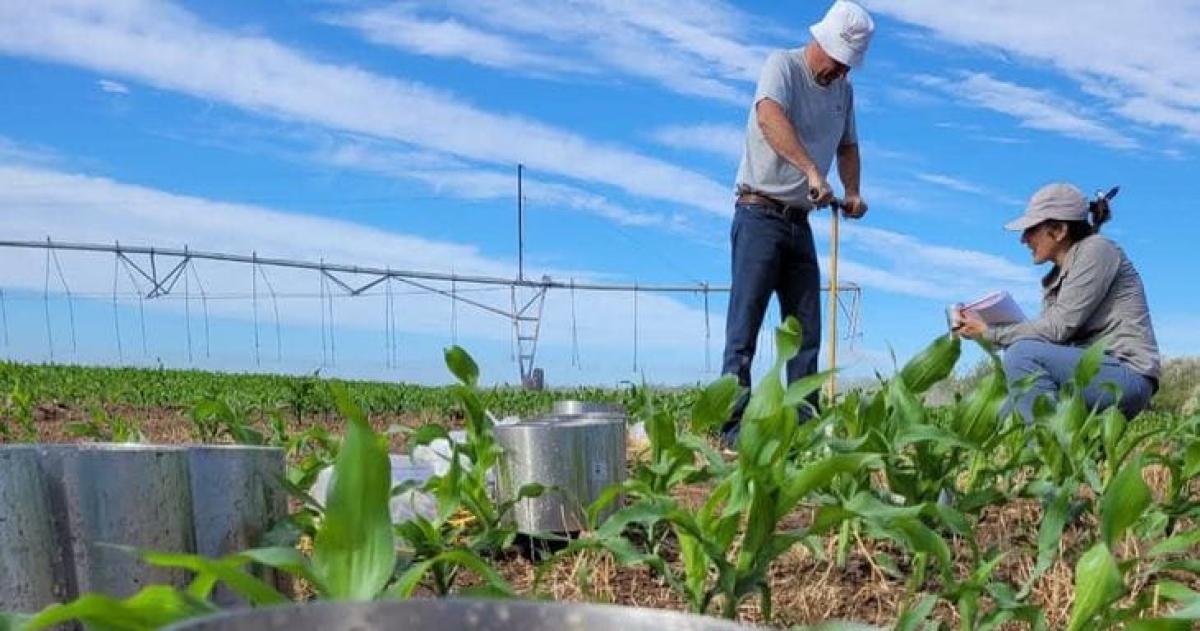 Los módulos fueron desarrollados por la agencia del INTA en 25 de Mayo