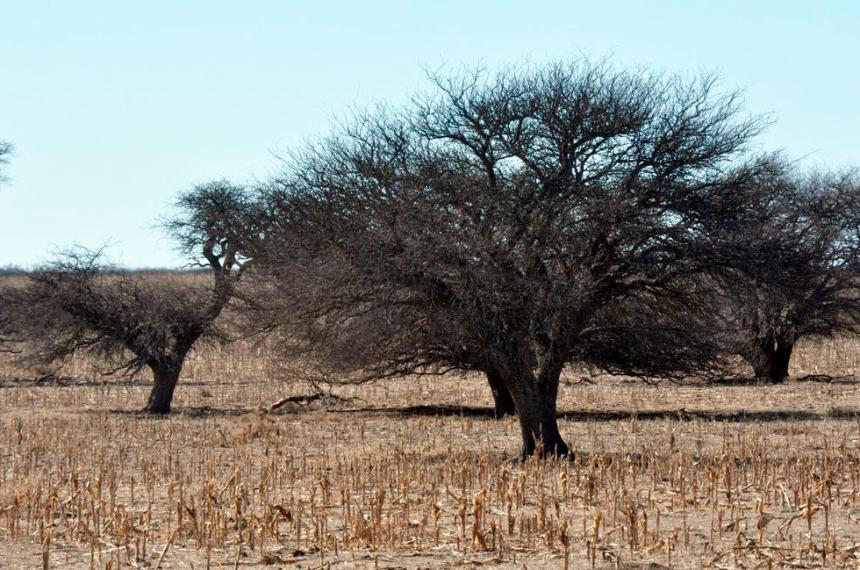 La declaración comprende campos en Curacó Lihuel Calel Limay Mahuida y Puelén