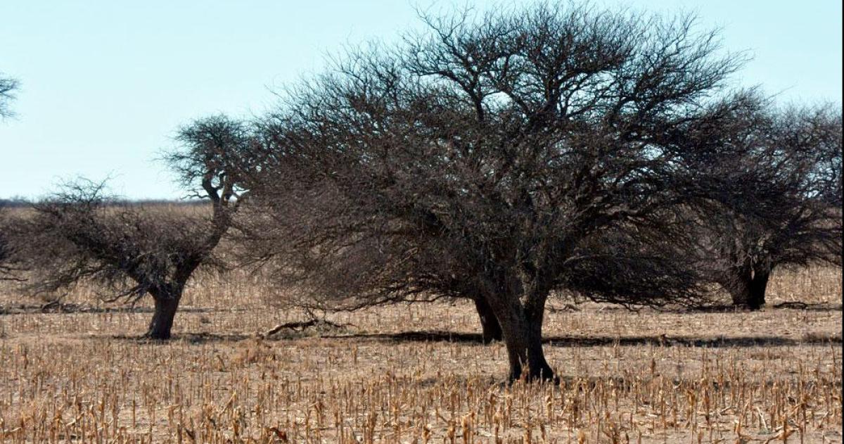 La declaración comprende campos en Curacó Lihuel Calel Limay Mahuida y Puelén
