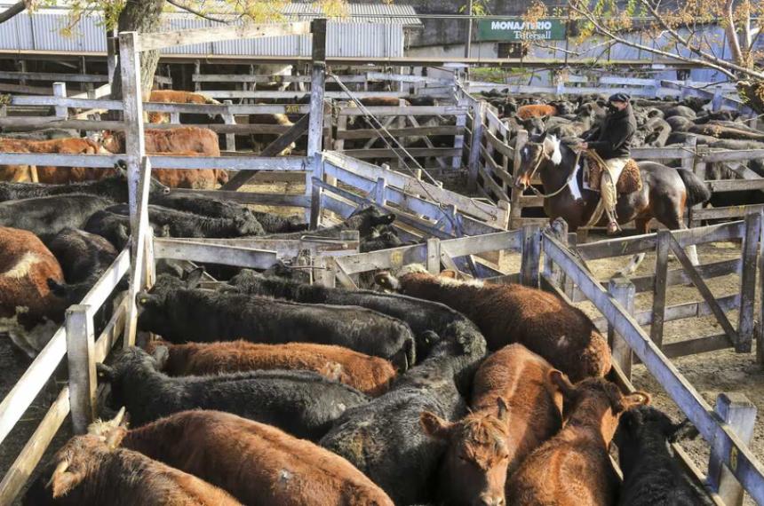 Rechazan cambios a la financiación del instituto para promover la carne vacuna