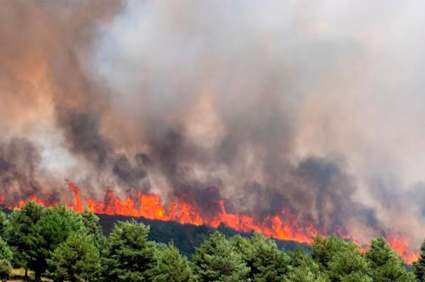 Bomberos y brigadistas combaten un gigantesco incendio forestal en la provincia española de Guadalajara donde las llamas ya arrasaron 32000 hect�reas y obligaron a evacuar a m�s de 1200 personas