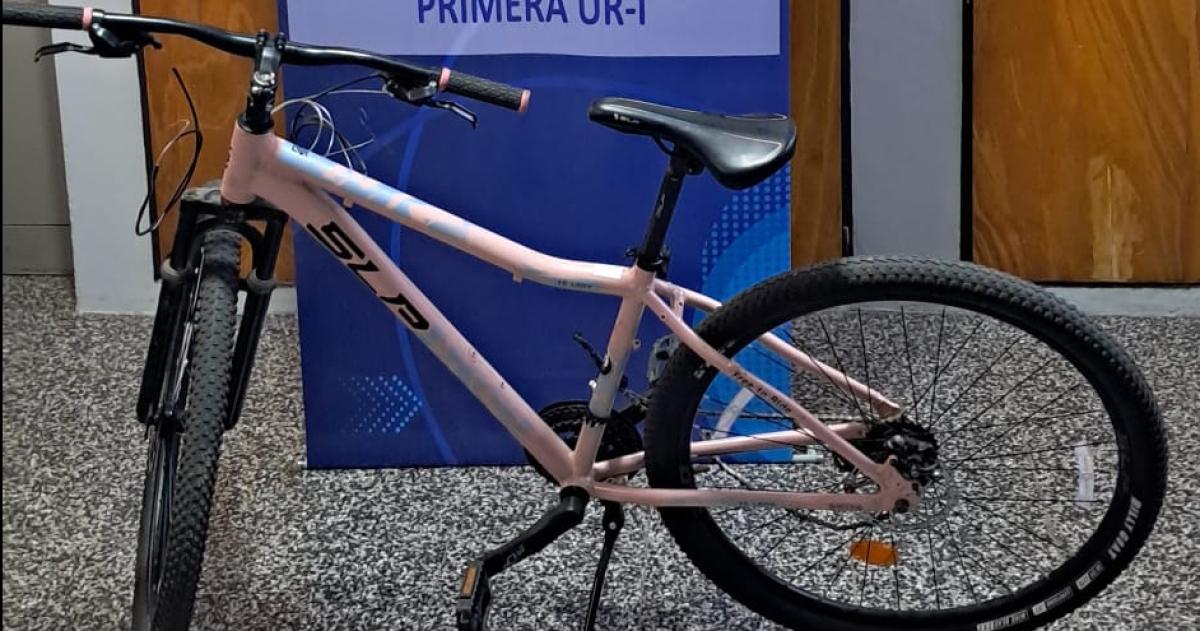 La bicicleta sustraída